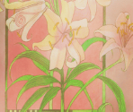 Character Intro Backgrounds