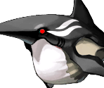 Black Blowshark