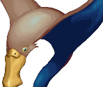 Perytia