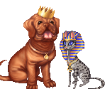 Cats vs Dogs NPCs - Gaia Online