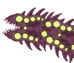 Limatoukka - Noita