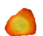 Fire - CarnEvil
