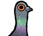 Pigeon - Walk of Life