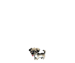 Frankie the Mongrel - Gaia Online