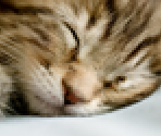 Default Profile Pictures - Windows 7