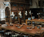 Library - Crack the Case with Sherlock