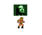 Triple H - WWF Betrayal