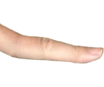 Stage 01 - Evolution: Fingers