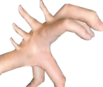 Stage 09 - Evolution: Fingers