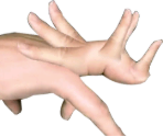 Stage 10 - Evolution: Fingers