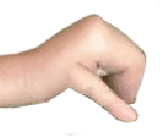 Stage 02 - Evolution: Fingers