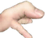 Stage 03 - Evolution: Fingers