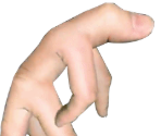 Stage 07 - Evolution: Fingers