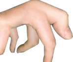 Stage 06 - Evolution: Fingers