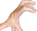 Stage 08 - Evolution: Fingers