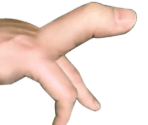 Stage 05 - Evolution: Fingers