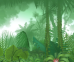 Jungle
