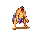 E. Honda - Super Street Fighter II: The New Challengers