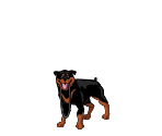 Airfield Dog - Ben 10: The Alien Device