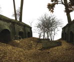 Forest - Bastardos Sin Gloria: The Online Videogame