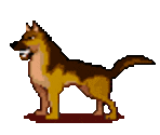 Hunter