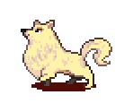 Silver Fox
