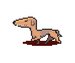 Raptor