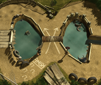 Frog Pond