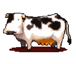 Cow - TunTown