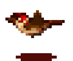 Sparrows