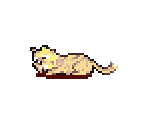 Elder Cat