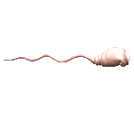 Sperm - Catch the Sperm