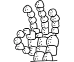 Cairns - West of Loathing