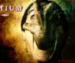 Title Screen - Dementium II