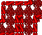 Dragon's Belly