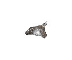 Tin Foil Hat - Gaia Online
