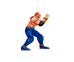Wolf - Virtua Fighter 2