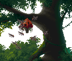 Bees - Kolibri