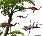Parasites - Kolibri