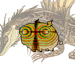 Dusk Dragon - Middens