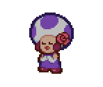 Chanterelle - Paper Mario