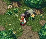 Setia Woods - Astonishia Story