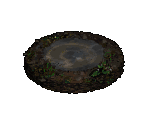 Well - Diablo 2 / Diablo 2: Lord of Destruction
