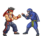 Akira Yuki & Kage-Maru - Project X Zone 2