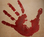 Setup Images - Nancy Drew: Secret of the Scarlet Hand