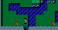 Zoda's Revenge: StarTropics 2 - Zoda's Revenge: StarTropics 2