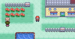 Pokémon FireRed / LeafGreen - Pokémon FireRed / LeafGreen