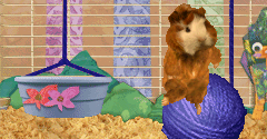 Wonder Pets! Save the Animals! - Wonder Pets! Save the Animals!