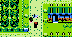 Pokémon Leaf Green (Bootleg) - Pokémon Leaf Green (Bootleg)