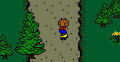 Extreme Sports with the Berenstain Bears - Extreme Sports with the Berenstain Bears